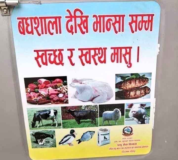 विभागले माग्यो माफि