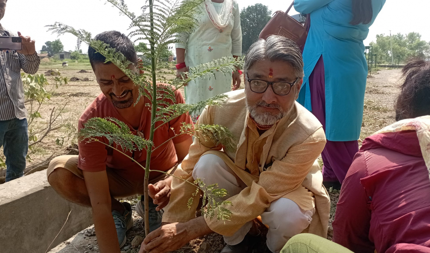 धनगढीमा तेस्रो चरणको हरियाली कार्यक्रम सुरु