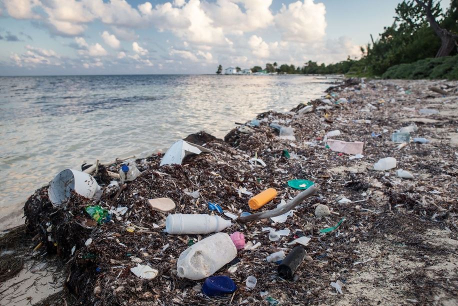 अध्ययन भन्छ स् सन् २००५ पछि समुद्रमा प्लास्टिक प्रदूषण ‘अत्यधिक’ बढ्यो